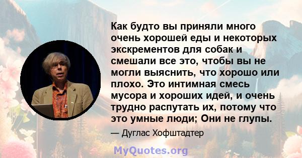 Как будто вы приняли много очень хорошей еды и некоторых экскрементов для собак и смешали все это, чтобы вы не могли выяснить, что хорошо или плохо. Это интимная смесь мусора и хороших идей, и очень трудно распутать их, 