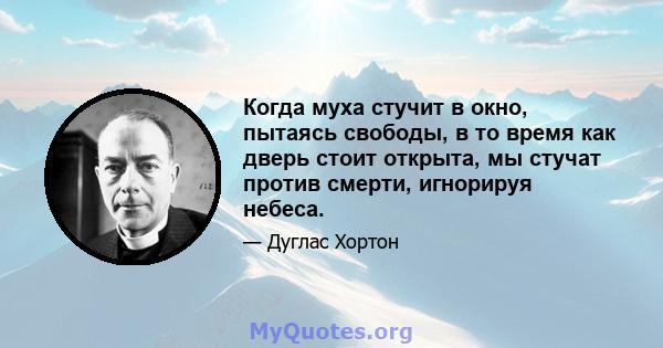 Когда муха стучит в окно, пытаясь свободы, в то время как дверь стоит открыта, мы стучат против смерти, игнорируя небеса.