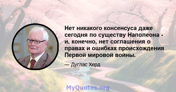 Нет никакого консенсуса даже сегодня по существу Наполеона - и, конечно, нет соглашения о правах и ошибках происхождения Первой мировой войны.