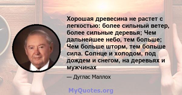 Хорошая древесина не растет с легкостью: более сильный ветер, более сильные деревья; Чем дальнейшее небо, тем больше; Чем больше шторм, тем больше сила. Солнце и холодом, под дождем и снегом, на деревьях и мужчинах