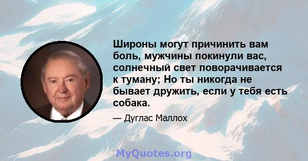 Широны могут причинить вам боль, мужчины покинули вас, солнечный свет поворачивается к туману; Но ты никогда не бывает дружить, если у тебя есть собака.