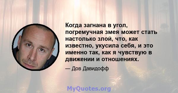 Когда загнана в угол, погремучная змея может стать настолько злой, что, как известно, укусила себя, и это именно так, как я чувствую в движении и отношениях.