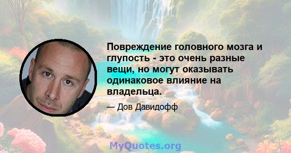 Повреждение головного мозга и глупость - это очень разные вещи, но могут оказывать одинаковое влияние на владельца.