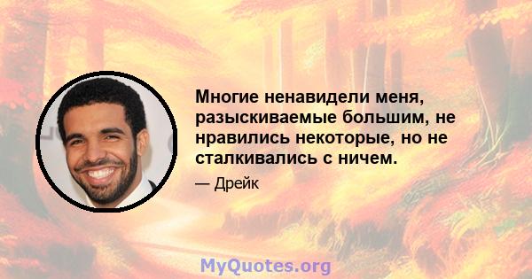 Многие ненавидели меня, разыскиваемые большим, не нравились некоторые, но не сталкивались с ничем.