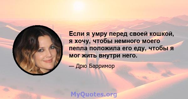 Если я умру перед своей кошкой, я хочу, чтобы немного моего пепла положила его еду, чтобы я мог жить внутри него.