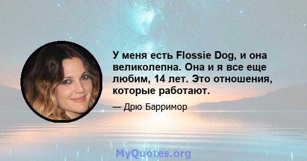 У меня есть Flossie Dog, и она великолепна. Она и я все еще любим, 14 лет. Это отношения, которые работают.