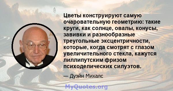 Цветы конструируют самую очаровательную геометрию: такие круги, как солнце, овалы, конусы, завивки и разнообразные треугольные эксцентричности, которые, когда смотрят с глазом увеличительного стекла, кажутся