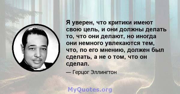 Я уверен, что критики имеют свою цель, и они должны делать то, что они делают, но иногда они немного увлекаются тем, что, по его мнению, должен был сделать, а не о том, что он сделал.