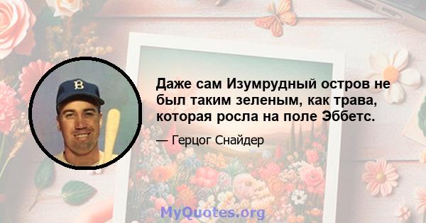 Даже сам Изумрудный остров не был таким зеленым, как трава, которая росла на поле Эббетс.