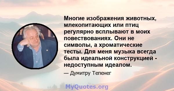 Многие изображения животных, млекопитающих или птиц регулярно всплывают в моих повествованиях. Они не символы, а хроматические тесты. Для меня музыка всегда была идеальной конструкцией - недоступным идеалом.