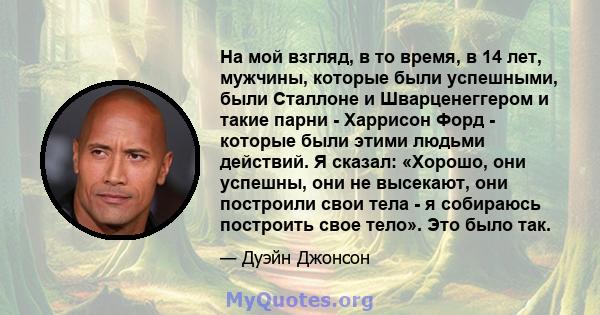 На мой взгляд, в то время, в 14 лет, мужчины, которые были успешными, были Сталлоне и Шварценеггером и такие парни - Харрисон Форд - которые были этими людьми действий. Я сказал: «Хорошо, они успешны, они не высекают,