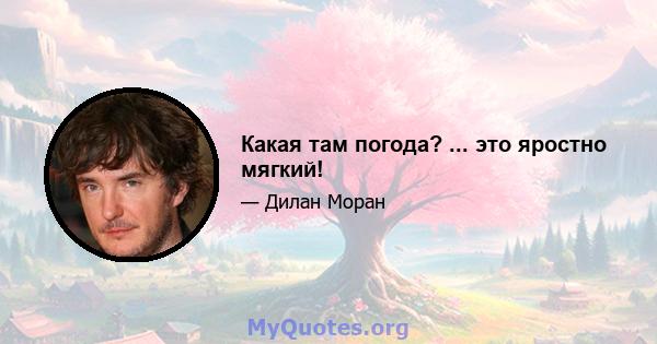 Какая там погода? ... это яростно мягкий!