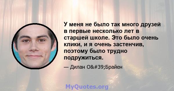 У меня не было так много друзей в первые несколько лет в старшей школе. Это было очень клики, и я очень застенчив, поэтому было трудно подружиться.