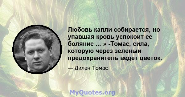 Любовь капли собирается, но упавшая кровь успокоит ее боляние ... » -Томас, сила, которую через зеленый предохранитель ведет цветок.