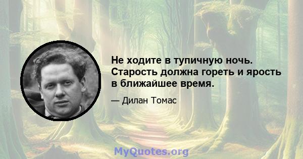 Не ходите в тупичную ночь. Старость должна гореть и ярость в ближайшее время.