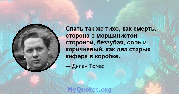 Спать так же тихо, как смерть, сторона с морщинистой стороной, беззубая, соль и коричневый, как два старых кифера в коробке.