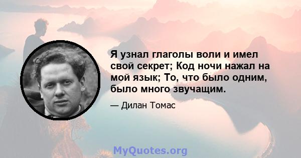 Я узнал глаголы воли и имел свой секрет; Код ночи нажал на мой язык; То, что было одним, было много звучащим.