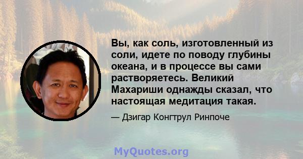 Вы, как соль, изготовленный из соли, идете по поводу глубины океана, и в процессе вы сами растворяетесь. Великий Махариши однажды сказал, что настоящая медитация такая.