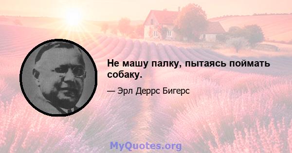 Не машу палку, пытаясь поймать собаку.