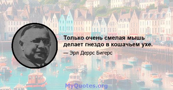 Только очень смелая мышь делает гнездо в кошачьем ухе.