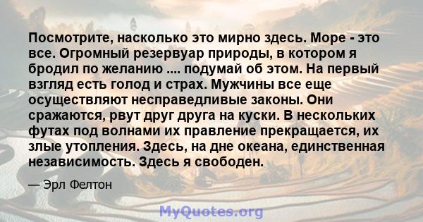 Посмотрите, насколько это мирно здесь. Море - это все. Огромный резервуар природы, в котором я бродил по желанию .... подумай об этом. На первый взгляд есть голод и страх. Мужчины все еще осуществляют несправедливые