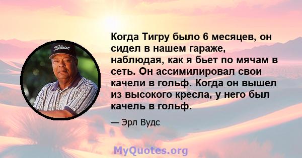 Когда Тигру было 6 месяцев, он сидел в нашем гараже, наблюдая, как я бьет по мячам в сеть. Он ассимилировал свои качели в гольф. Когда он вышел из высокого кресла, у него был качель в гольф.