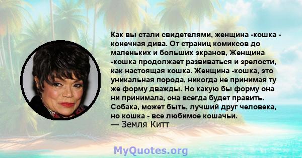 Как вы стали свидетелями, женщина -кошка - конечная дива. От страниц комиксов до маленьких и больших экранов, Женщина -кошка продолжает развиваться и зрелости, как настоящая кошка. Женщина -кошка, это уникальная порода, 