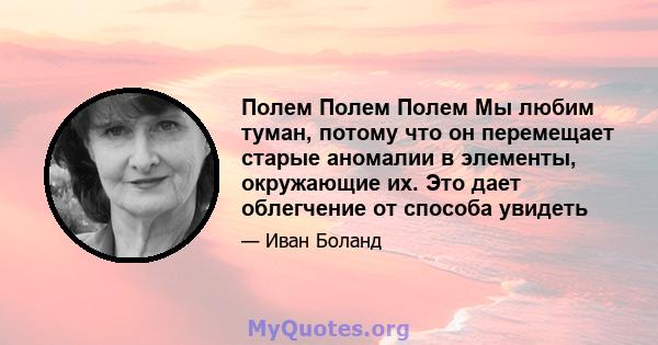 Полем Полем Полем Мы любим туман, потому что он перемещает старые аномалии в элементы, окружающие их. Это дает облегчение от способа увидеть