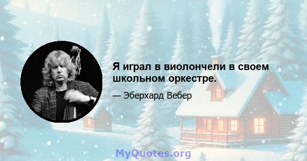 Я играл в виолончели в своем школьном оркестре.