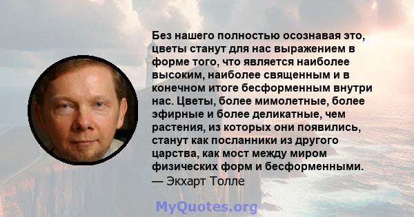 Без нашего полностью осознавая это, цветы станут для нас выражением в форме того, что является наиболее высоким, наиболее священным и в конечном итоге бесформенным внутри нас. Цветы, более мимолетные, более эфирные и