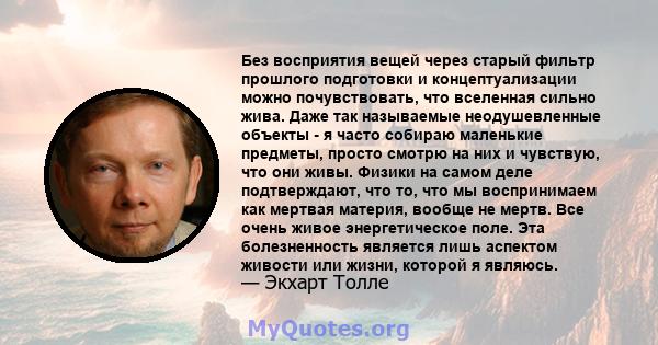 Без восприятия вещей через старый фильтр прошлого подготовки и концептуализации можно почувствовать, что вселенная сильно жива. Даже так называемые неодушевленные объекты - я часто собираю маленькие предметы, просто