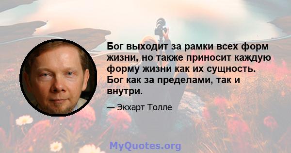 Бог выходит за рамки всех форм жизни, но также приносит каждую форму жизни как их сущность. Бог как за пределами, так и внутри.