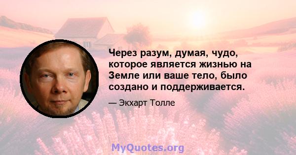 Через разум, думая, чудо, которое является жизнью на Земле или ваше тело, было создано и поддерживается.