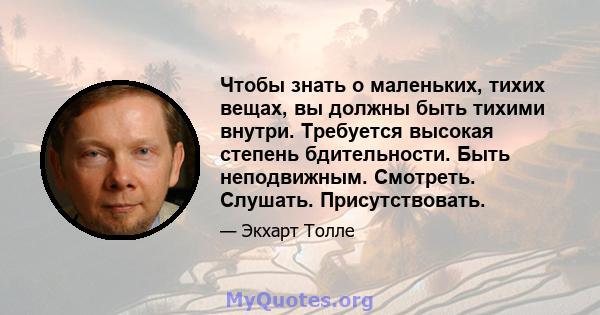 Чтобы знать о маленьких, тихих вещах, вы должны быть тихими внутри. Требуется высокая степень бдительности. Быть неподвижным. Смотреть. Слушать. Присутствовать.