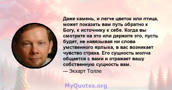 Даже камень, и легче цветок или птица, может показать вам путь обратно к Богу, к источнику к себе. Когда вы смотрите на это или держите это, пусть будет, не навязывая ни слова умственного ярлыка, в вас возникает чувство 