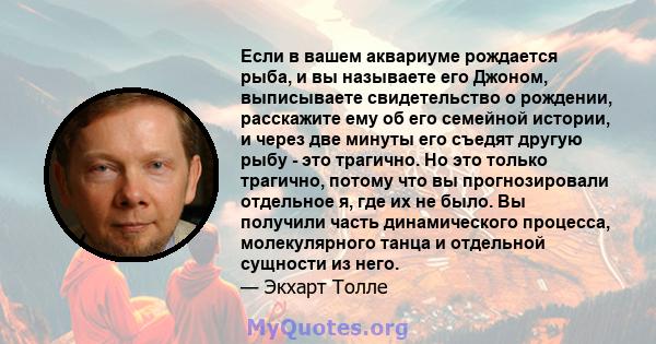 Если в вашем аквариуме рождается рыба, и вы называете его Джоном, выписываете свидетельство о рождении, расскажите ему об его семейной истории, и через две минуты его съедят другую рыбу - это трагично. Но это только