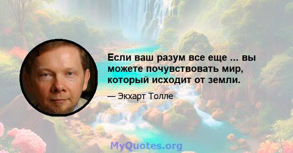 Если ваш разум все еще ... вы можете почувствовать мир, который исходит от земли.