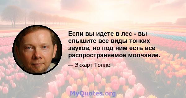 Если вы идете в лес - вы слышите все виды тонких звуков, но под ним есть все распространяемое молчание.