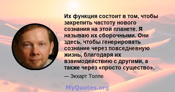 Их функция состоит в том, чтобы закрепить частоту нового сознания на этой планете. Я называю их сборочными. Они здесь, чтобы генерировать сознание через повседневную жизнь, благодаря их взаимодействию с другими, а также 