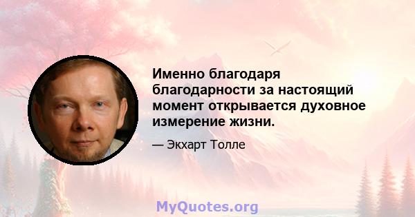 Именно благодаря благодарности за настоящий момент открывается духовное измерение жизни.