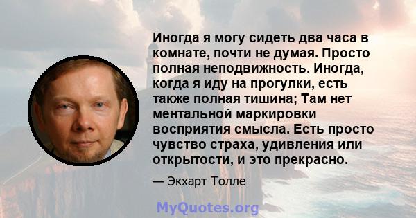 Иногда я могу сидеть два часа в комнате, почти не думая. Просто полная неподвижность. Иногда, когда я иду на прогулки, есть также полная тишина; Там нет ментальной маркировки восприятия смысла. Есть просто чувство