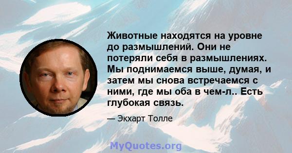 Животные находятся на уровне до размышлений. Они не потеряли себя в размышлениях. Мы поднимаемся выше, думая, и затем мы снова встречаемся с ними, где мы оба в чем-л.. Есть глубокая связь.