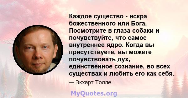 Каждое существо - искра божественного или Бога. Посмотрите в глаза собаки и почувствуйте, что самое внутреннее ядро. Когда вы присутствуете, вы можете почувствовать дух, единственное сознание, во всех существах и любить 