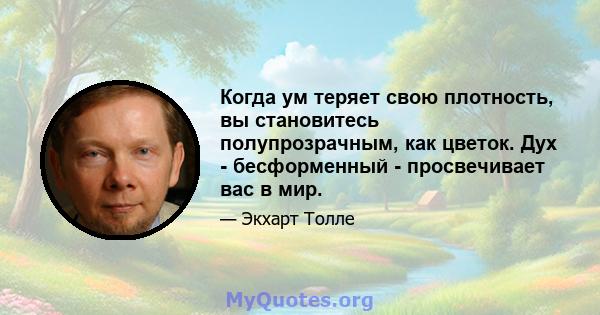 Когда ум теряет свою плотность, вы становитесь полупрозрачным, как цветок. Дух - бесформенный - просвечивает вас в мир.