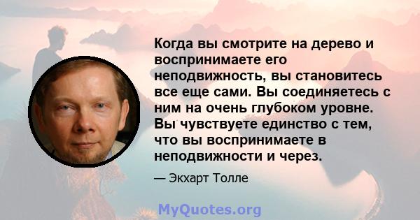 Когда вы смотрите на дерево и воспринимаете его неподвижность, вы становитесь все еще сами. Вы соединяетесь с ним на очень глубоком уровне. Вы чувствуете единство с тем, что вы воспринимаете в неподвижности и через.