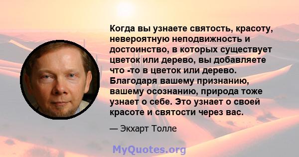 Когда вы узнаете святость, красоту, невероятную неподвижность и достоинство, в которых существует цветок или дерево, вы добавляете что -то в цветок или дерево. Благодаря вашему признанию, вашему осознанию, природа тоже