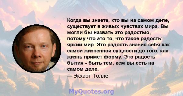 Когда вы знаете, кто вы на самом деле, существует в живых чувствах мира. Вы могли бы назвать это радостью, потому что это то, что такое радость: яркий мир. Это радость знания себя как самой жизненной сущности до того,