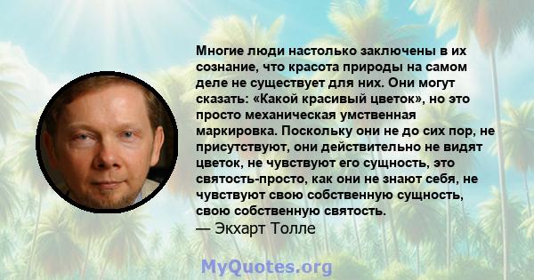 Многие люди настолько заключены в их сознание, что красота природы на самом деле не существует для них. Они могут сказать: «Какой красивый цветок», но это просто механическая умственная маркировка. Поскольку они не до