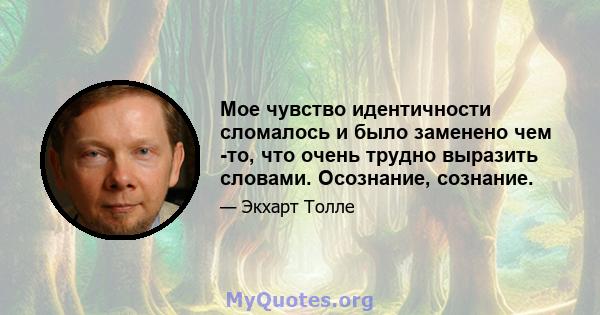 Мое чувство идентичности сломалось и было заменено чем -то, что очень трудно выразить словами. Осознание, сознание.