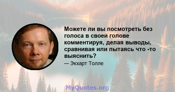 Можете ли вы посмотреть без голоса в своей голове комментируя, делая выводы, сравнивая или пытаясь что -то выяснить?